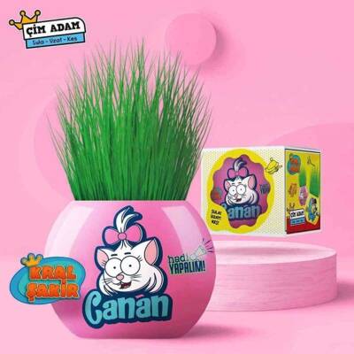 Aden Oyuncak Kral Şakir Çim Adam Seti 3321-Pembe