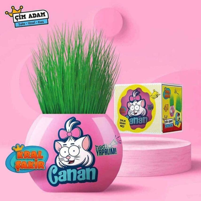 Aden Oyuncak Kral Şakir Çim Adam Seti 3321-Pembe - 1