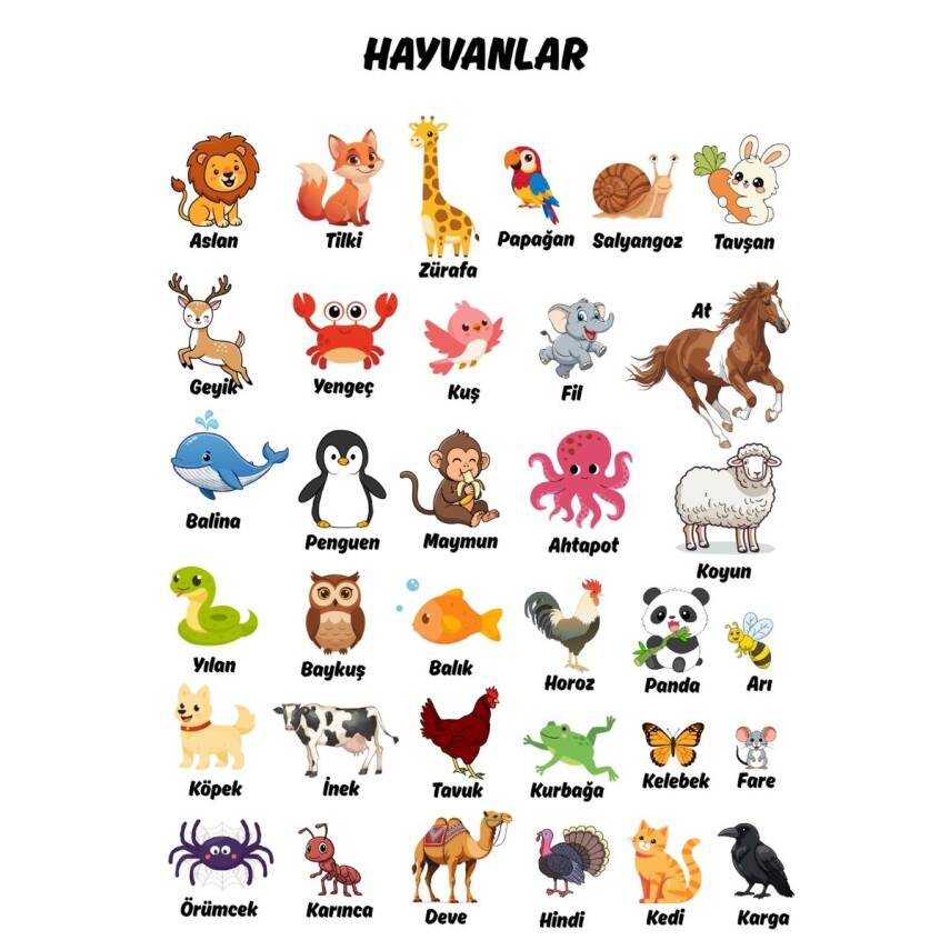 Besay Hayvanlar Çocuk Türkçe Eğitim Tekli A3 Çerçevesiz - 1