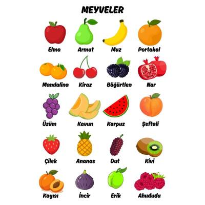 Besay Meyveler Çocuk Türkçe Eğitim Tekli A3 Çerçevesiz