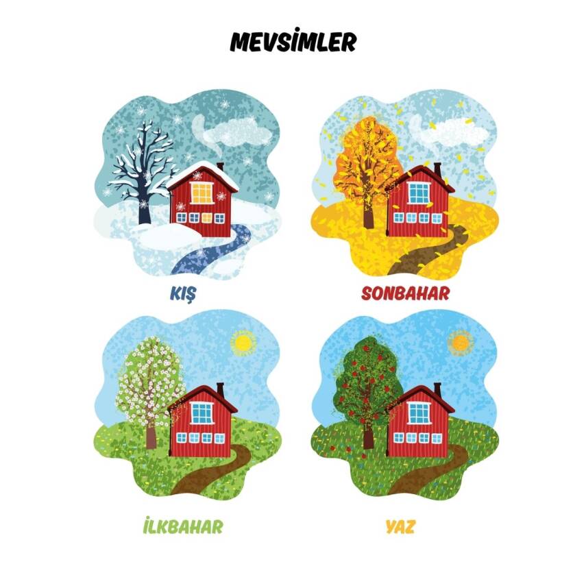 Besay Okul Öncesi Türkçe Eğitim Poster Seti 12'Li A3 Çerçevesiz - 4