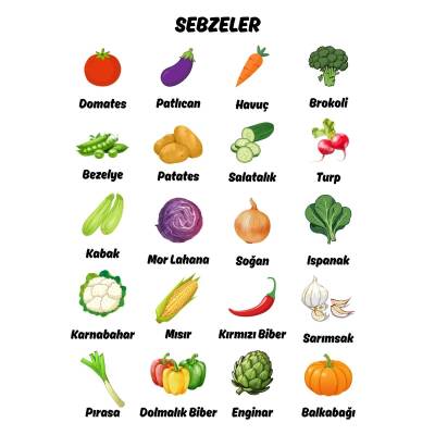 Besay Okul Öncesi Türkçe Eğitim Poster Seti 12'Li A3 Çerçevesiz - 8