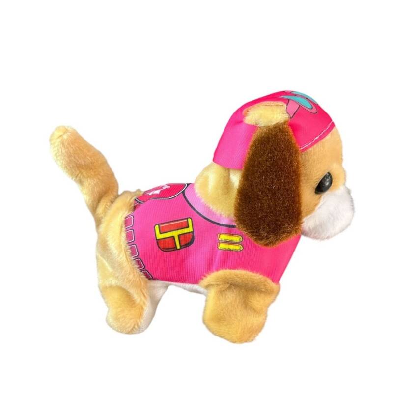 Bvm Oyuncak Pelüş Paw Patrol Sesli Işıklı 23-036-Pembe - 2