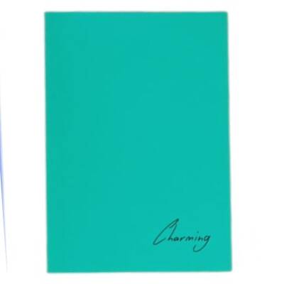 Tokaç A4 Dikişli 100 Yp Çizgili Defter-Yeşil